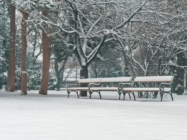 Top 5 meilleures marques de poppers à acheter en ligne