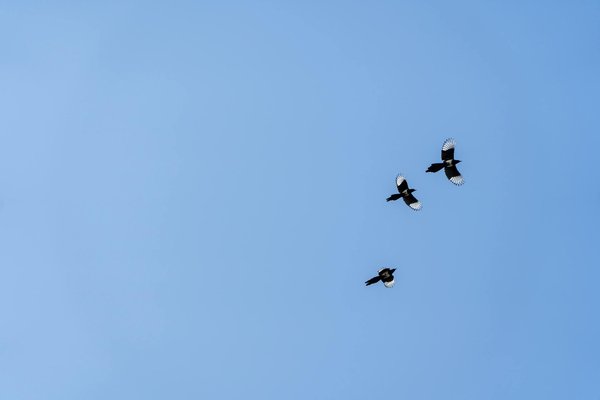 Démystifiez les Étiquettes Alimentaires pour Atteindre Vos Objectifs Minceur !