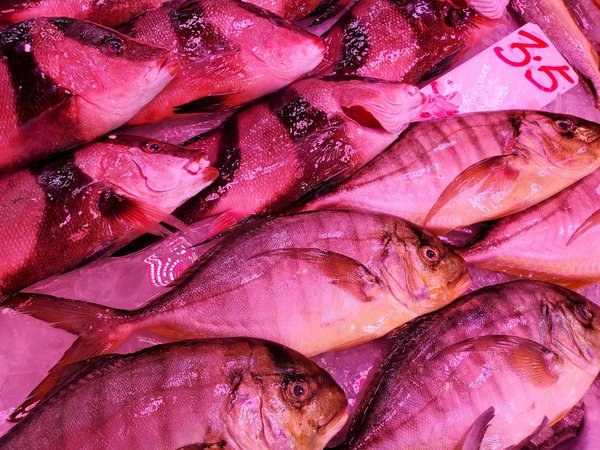 Les Effets du Télétravail sur la Santé : Une Réflexion Approfondie et Actuelle